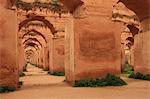 Ruined arches, The Rouah (Heri Mansour Granary), Meknes, Morocco, North Africa, Africa