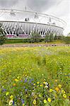 Olympic Stadium surrounded by wild flowers in the Olympic Park, Stratford City, London, England, United Kingdom, Europe