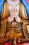 Detail of Buddha statue. Ksepana mudra, Tu An Buddhist Temple, Saint-Pierre-en-Faucigny, Haute Savoie, France, Europe