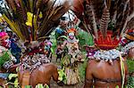 Multicolore habillé et visage peint des tribus locales célébrant la traditionnelle Sing Sing en Paya dans les Highlands, Papouasie Nouvelle-Guinée, Mélanésie Pacifique