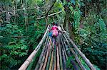 Bamboo bridge in the interior leading to Millennium cave, Island of Espiritu Santo, Vanuatu, South Pacific, Pacific