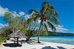 Beach hut at Champagne beach, Island of Espiritu Santo, Vanuatu, South Pacific, Pacific