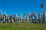 Traditional wood carving at the Ile des Pins, New Caledonia, Melanesia, South Pacific, Pacific