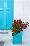 Red geraniums, Chora, Amorgos, Cyclades, Aegean, Greek Islands, Greece, Europe