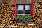 Firewood, Vigo di Fassa, Fassa Valley, Trento Province, Trentino-Alto Adige/South Tyrol, Italian Dolomites, Italy, Europe