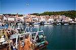 Trawlers in the harbour, Scarborough, North Yorkshire, Yorkshire, England, United Kingdom, Europe