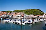 Yachts dans le port et Castle Hill, Scarborough, North Yorkshire, Yorkshire, Angleterre, Royaume-Uni, Europe