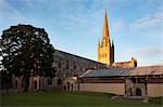 Letzte Licht auf dem Turm an der Kathedrale von Norwich, Norwich, Norfolk, England, Vereinigtes Königreich, Europa