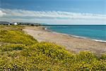 Secluded beach in spring, near Paphos, Cyprus, Mediterranean, Europe