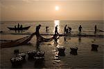 Einheimische Fischer Landung fangen bei Sonnenuntergang, Benaulim, Goa, Indien, Asien