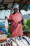 Vendeur de poisson routière, Kerala, Inde, Asie