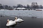 The Serpentine in winter, Hyde Park, London, England, United Kingdom, Europe