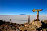 Flèche de cactus sur la Isla de los Pescadores, Volcan Tunupa et les marais salants, Salar de Uyuni, Amérique du sud-sud-ouest des hautes-terres (Bolivie),