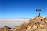 Cactus arrow on Isla de los Pescadores and the salt flats, Salar de Uyuni, Southwest Highlands, Bolivia, South America