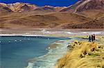 Laguna Canapa, Sud Lipez, hautes terres du Sud-Ouest, en Bolivie, en Amérique du Sud