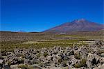 Südwest-Hochland, Bolivien, Südamerika