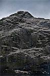 Colonie sauvage fou de Bassan (Morus bassanus), imbrication. St. Kilda Islands, de la Hébrides extérieures en Écosse, Royaume-Uni, Europe