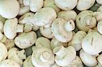 Mushrooms for sale at the Sunday morning market, Pollenca, Tramuntana, Mallorca, Balearic Islands, Spain, Europe