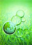Prairies et un globe