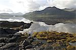 Landscape on the Isle of Mull, Inner Hebrides, Scotland, United Kingdom, Europe