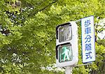 Pedestrian crossing light