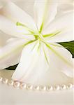 Lilies and pearls