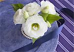 Eustoma