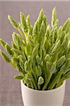Close-up of Wild Asparagus in Bowl