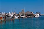 Boats in Harbour, Provincetown, Cape Cod, Massachusetts, USA