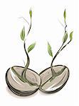 Sprouting hand drawn watercolor style beans illustration. EPS8 layered vector. No effects.