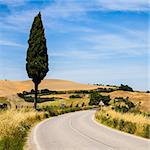 Italy, Tuscany; a road in the middle of the country, close to Asciano
