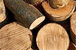 Bunch of hornbeam cut logs as firewood