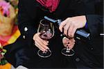 couple drinking red  wine outside on a picnic