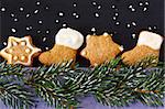 Christmas gingerbread cookies and spruce branch with snow.