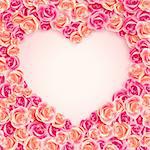 Valentine`s Day card on pink roses with place for text.