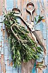 Bunch of fresh rosemary and old scissors on a wooden background.