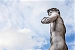 Statue of Michelangelo's David, Piazza della Signoria, Florence, Tuscany, Italy