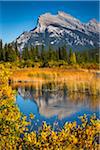 Mount Rundle and Long Grass in Vermilion Lakes, near Banff, Banff National Park, Alberta, Canada