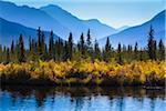 Autumn Vegetation and Mountain Range at Vermilion Lakes, near Banff, Banff National Park, Alberta, Canada