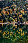 Larix Lake in Autumn, Rock Isle Trail, Sunshine Meadows, Mount Assiniboine Provincial Park, British Columbia, Canada