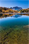 Larix Lake in Autumn, Rock Isle Trail, Sunshine Meadows, Mount Assiniboine Provincial Park, British Columbia, Canada