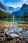 Rocky Shore of Alpine Lake, Lake O'Hara, Yoho National Park, British Columbia, Canada