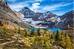 McArthur Lake and Hiking Trail in Autumn, Yoho National Park, British Columbia, Canada