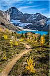 Hiking Trail at McArthur Lake in Autumn, Yoho National Park, British Columbia, Canada