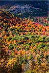 Aerial View of Mountainside Forest in Autumn, Whiteface Mountain, Wilmington, Essex County, New York State, USA