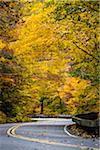 Winding Country Road, Smugglers Notch, Lamoille County, Vermont, USA