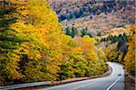 Car on Road Through White Mountain National Forest, White Mountains, New Hampshire, USA