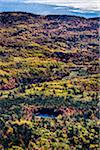 View of Valley with Fall Colours as seen from Cadillac Mountain, Acadia National Park, Mount Desert Island, Hancock County, Maine, USA