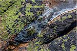 Close-Up of Ice on Lichen Covered Rock