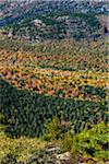 View of Acadia National Park from Cadillac Mountain, Mount Desert Island, Hancock County, Maine, USA